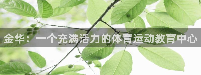 金华：一个充满活力的体育运动教育中心