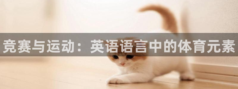 竞赛与运动：英语语言中的体育元素