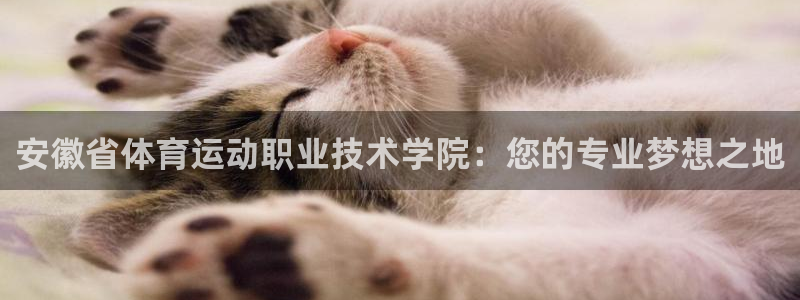 安徽省体育运动职业技术学院：您的专业梦想之地