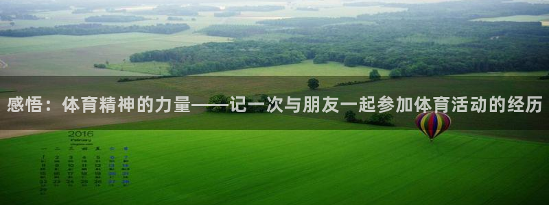 感悟：体育精神的力量——记一次与朋友一起参加体育活动的经历
