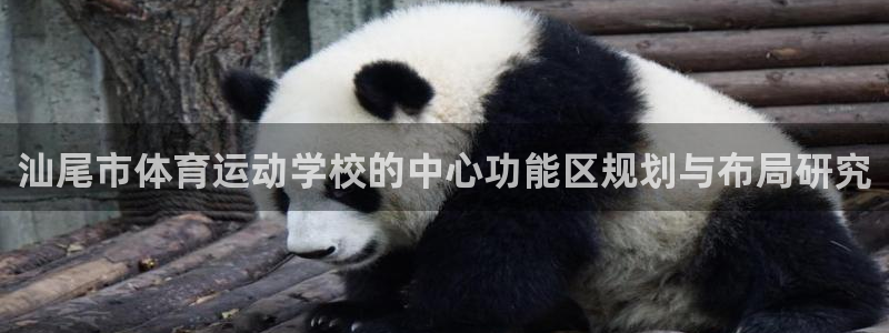 汕尾市体育运动学校的中心功能区规划与布局研究