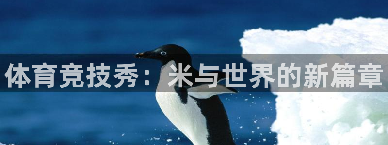 体育竞技秀：米与世界的新篇章