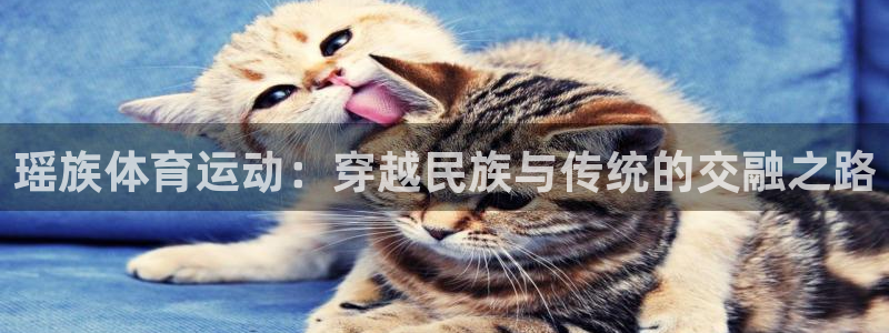 瑶族体育运动：穿越民族与传统的交融之路
