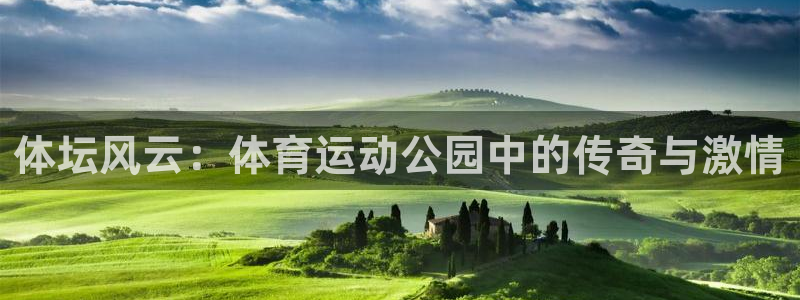 体坛风云：体育运动公园中的传奇与激情
