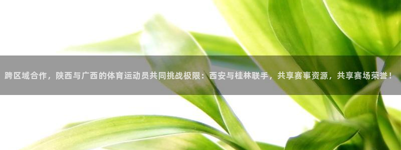 跨区域合作，陕西与广西的体育运动员共同挑战极限：西安与桂林联手，共享赛事资源，共享赛场荣誉！