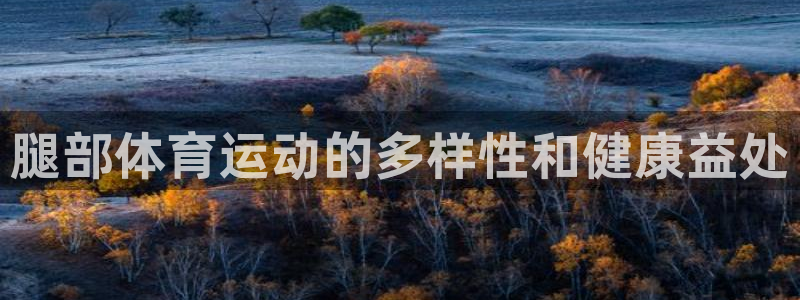 腿部体育运动的多样性和健康益处
