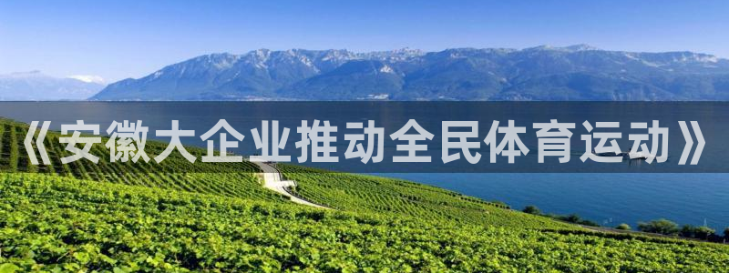《安徽大企业推动全民体育运动》