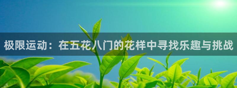 极限运动：在五花八门的花样中寻找乐趣与挑战