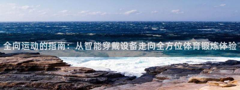 全向运动的指南：从智能穿戴设备走向全方位体育锻炼体验
