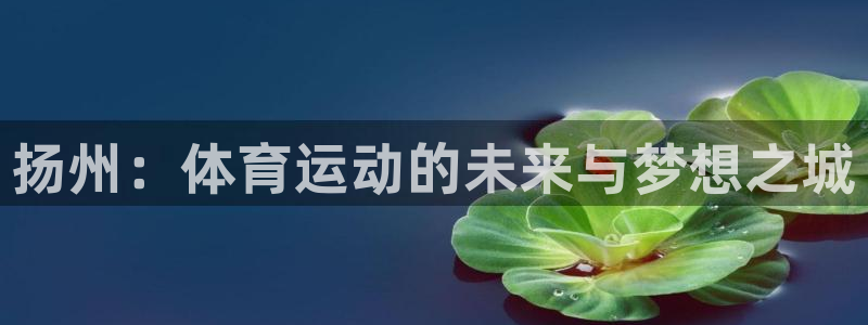 扬州：体育运动的未来与梦想之城