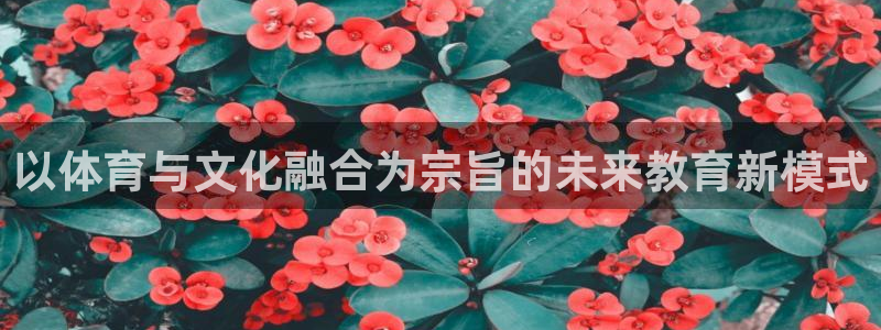 以体育与文化融合为宗旨的未来教育新模式