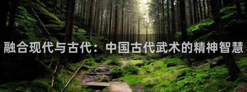 融合现代与古代：中国古代武术的精神智慧