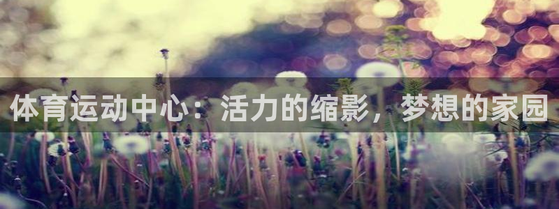 体育运动中心：活力的缩影，梦想的家园