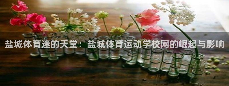 盐城体育迷的天堂：盐城体育运动学校网的崛起与影响