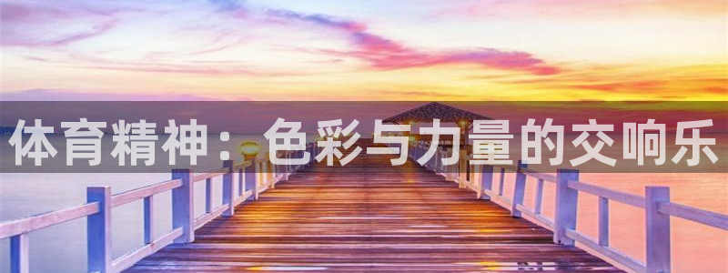体育精神：色彩与力量的交响乐