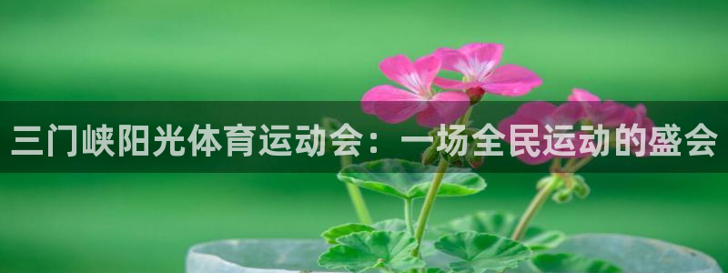 三门峡阳光体育运动会：一场全民运动的盛会